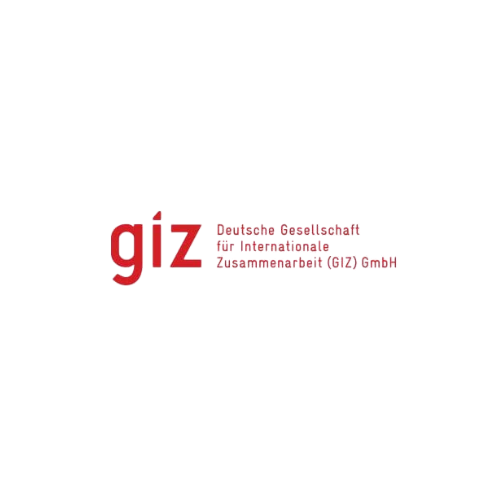 The German Development Cooperation (GIZ)